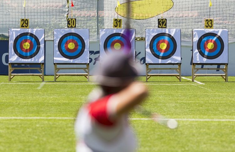 best 3d archery targets